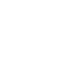 BEE-TOYSpng