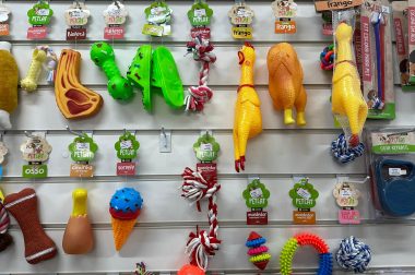 petshop6